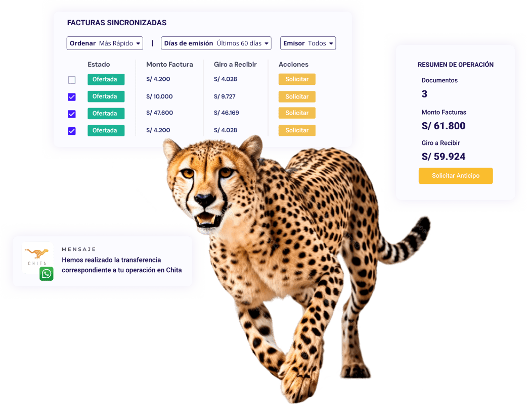 Agente Chita Factoring